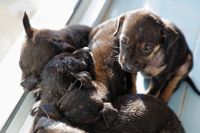 Famille et amis-MAI17-010